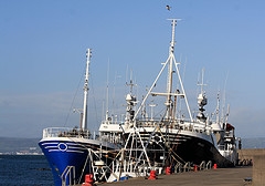 trawler yachts